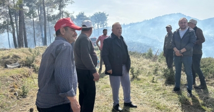 BOZDOĞAN’DAKİ ORMAN YANGINI KONTROL ALTINA ALINDI