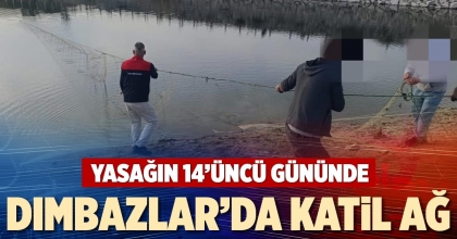 DIMBAZLAR’DA KATİL AĞ