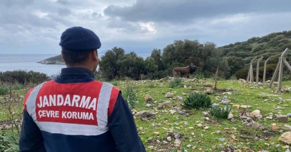 DİLEK YARIMADASI MİLLİ PARKI'NDA JANDARMA DENETİMİ