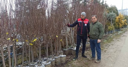 FİDAN SATIŞ NOKTALARINDA DENETİM