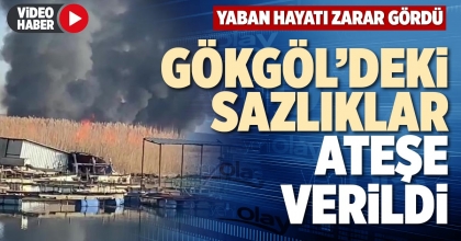 GÖKGÖL’DEKİ SAZLIKLAR ATEŞE VERİLDİ