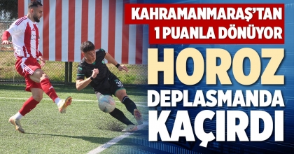 HOROZ DEPLASMANDA KAÇIRDI