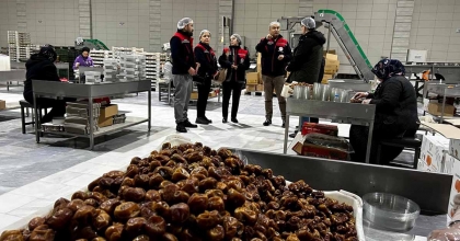 HURMA ÜRETİM TESİSLERİNE YÖNELİK DENETİM