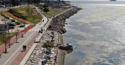 İZMİR BOSTANLI SAHİLİNİ DENİZ MARULU SARDI