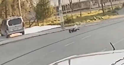 İZMİR'DE YİNE SOKAK KÖPEĞİ, YİNE ÇOCUĞA SALDIRI