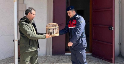 KAÇAK AVLANMAYA GEÇİT YOK