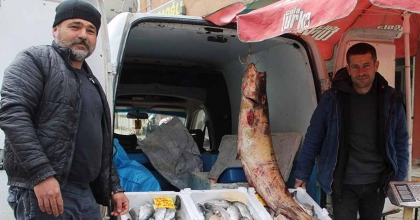 KURAKLIK, BARAJLARDAKİ BALIK POPÜLASYONU ETKİLEDİ