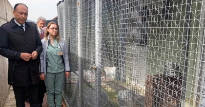 MUĞLA BÜYÜKŞEHİR GEÇİCİ HAYVAN BAKIM EVİ’NDE İNCELEME