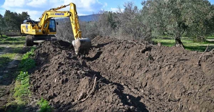 MANİSA'DA TARIM ARAZİLERİ KORUMA ALTINDA