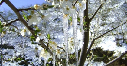 MUĞLA 19 MART’TAN 24 MART’A KADAR BUZ TUTACAK