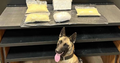 NARKOTİK KÖPEĞİNİN UYUŞTURUCUYU BULMA ANI POLİS KAMERASINDA
