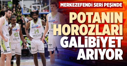 POTANIN HOROZLARI GALİBİYET ARIYOR