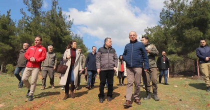 SOKAK HAYVANLARI İÇİN ÖRNEK PROJE
