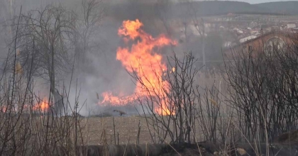 ARAZİDE ÇIKAN YANGIN BAHÇE EVLERİNE ULAŞMADAN SÖNDÜRÜLDÜ