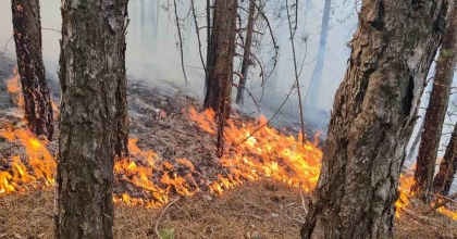 UŞAK’TA ORMANLIK ALANDA ÇIKAN YANGIN BÜYÜMEDEN SÖNDÜRÜLDÜ