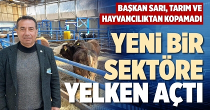 YENİ BİR SEKTÖRE YELKEN AÇTI