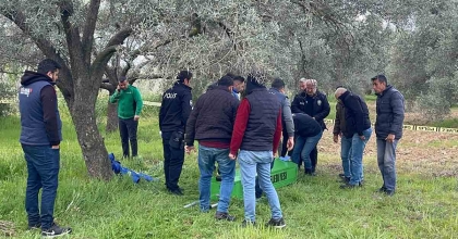 ZEYTİN BAHÇESİNDE CANSIZ BEDENİ BULUNDU