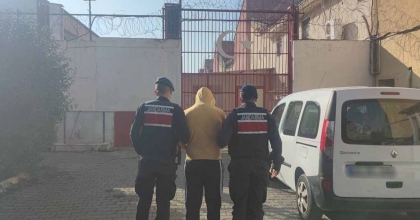 ZEYTİNYAĞI HIRSIZLARI JANDARMADAN KAÇAMADI