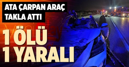 ATA ÇARPAN ARAÇ TAKLA ATTI: 1 ÖLÜ 1 YARALI