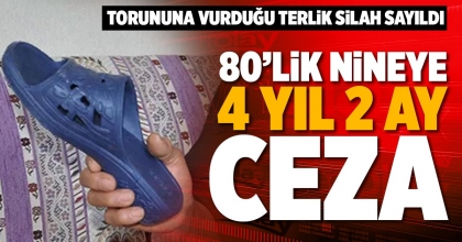 80’LİK NİNEYE 4 YIL 2 AY CEZA