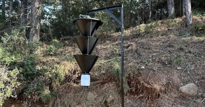 AĞAÇLARI KURUTAN BÖCEKLERLE MÜCADELE BAŞLATILDI