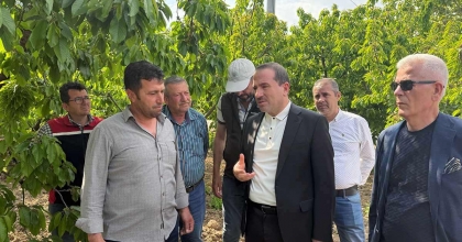 AK PARTİLİ KIRKPINAR, ZİRAİ DON YAŞANAN BÖLGELERDE İNCELEMELERDE BULUNDU