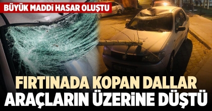 FIRTINADA KOPAN DALLAR ARAÇLARIN ÜZERİNE DÜŞTÜ