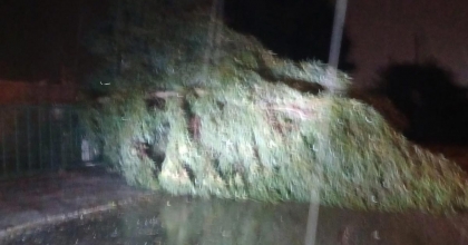 AYDIN’DA KUVVETLİ RÜZGAR HAYATI OLUMSUZ ETKİLEDİ