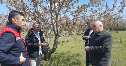 AFYONKARAHİSAR’DA TARIM ALANLARINI DON VURDU