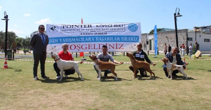 AYDIN’DA KÖPEKLER PODYUMA ÇIKTI
