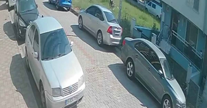 AYDIN'DA SINAVA GİDEN ÖĞRENCİYE KÖPEK SALDIRDI