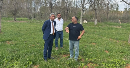 ÇAL’DA BELEDİYE AT ÇİFTLİĞİ KURACAK