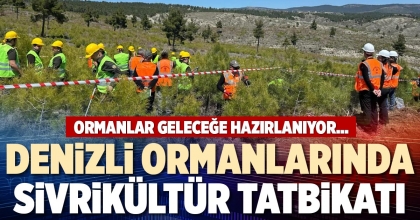DENİZLİ ORMANLARINDA SİVRİKÜLTÜR TATBİKATI