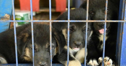 DİDİM BELEDİYESİ'NDEN ANLAMLI ÇAĞRI: 