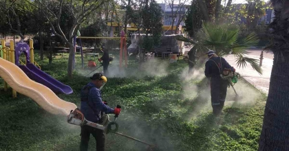 DİDİM BELEDİYESİ YEŞİL ALANLARDA BAKIM ÇALIŞMALARINI SÜRDÜRÜYOR