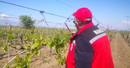 DON AFETİNİN SADECE SARIGÖL’E ZARARI 2,25 MİLYAR TL