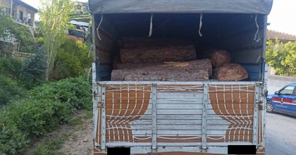 EFELER'DE KAÇAK ORMAN ÜRÜNÜ ELE GEÇİRİLDİ