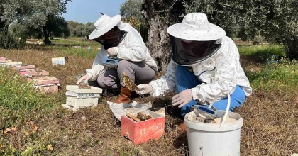 EL ELE VEREN GELİN-GÖRÜMCE ÜLKENİN ANA ARI İHTİYACINI KARŞILIYOR