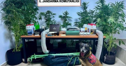 EVİNİ UYUŞTURUCU BAHÇESİNE ÇEVİRMİŞ