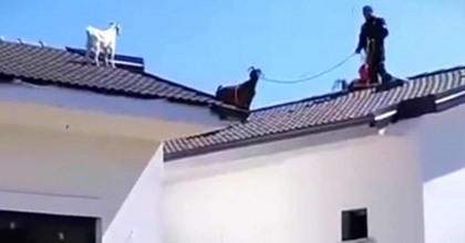 FETHİYE'DE SIRA DIŞI KURTARMA OPERASYONU