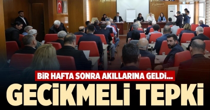 GECİKMELİ TEPKİ