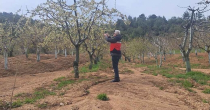 GEDİZ'DE ZİRAİ DON HASAR TESPİT ÇALIŞMALARI BAŞLATILDI