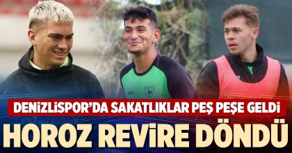 HOROZ REVİRE DÖNDÜ