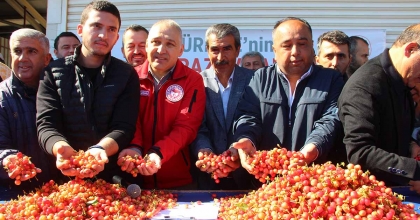 İLK KİRAZIN KİLOSU 3 BİN 500 TL'DEN SATILDI