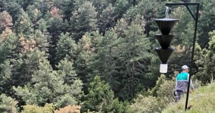 KABUK BÖCEĞİ İÇİN FEROMON TUZAĞI