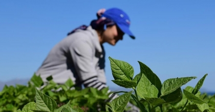 KIRSAL KALKINMA DESTEKLERİ İÇİN SON BAŞVURU TARİHİ YARIN