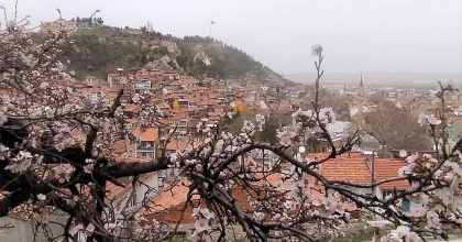 KÜTAHYA'DA BADEM AĞAÇLARI BU YIL ZAMANINDA ÇİÇEK AÇTI