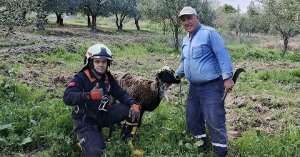 KUYUYA DÜŞEN KOYUNU İTFAİYE KURTARDI
