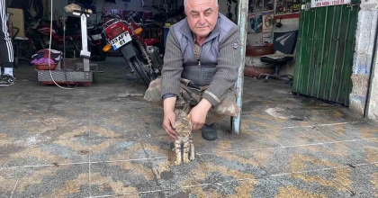 MANİSALI ESNAFIN DUYARLILIĞI BİR KEDİYİ HAYATA BAĞLADI