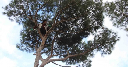 METRELERCE YÜKSEKLİKTE EKMEK PARASI İÇİN GÖZÜNÜ KIRPMADAN ÇALIŞIYOR